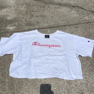 Matching Champion Hoodie and Crop Top Set